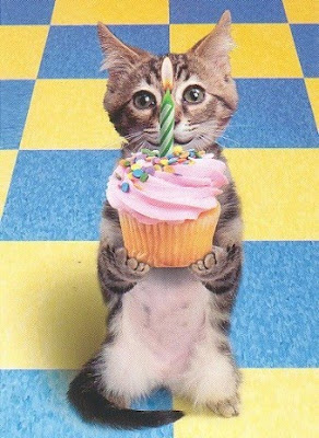 Funny Birthday Images on Funny Birthday Quotes And Funny Birthday Pictures