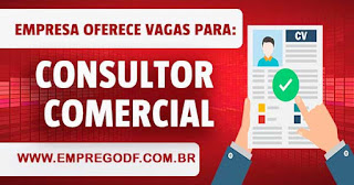 Consultor Comercial