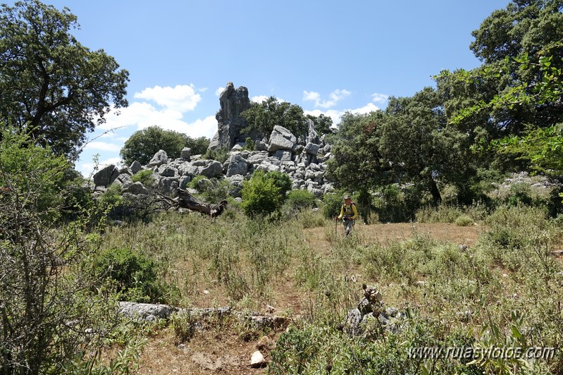 Los Lajares - Cerro de la Gordilla - Cerro del Dragón - Fortaleza de la Breña