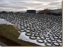 Cooking the silage