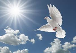 The Flying of birds in the sky gives a message to those who reflect to the great ability of Allah.