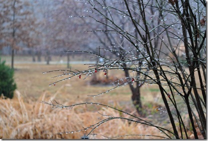 Freezing rain