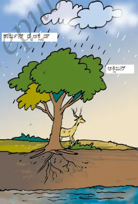 Solutions Class 7 Science Chapter 17 Forests: Our Lifeline in Kannada Medium