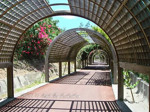 台東森林公園黑森林~超大休憩區假日親子單車遊好去處