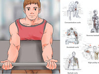 29+ Big Arms Workout For Hardgainers Gif