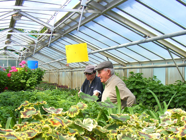 Inside the City of Tours greenhouses, Indre et Loire, France. Photo by Loire Valley Time Travel.