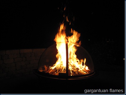 fire pit (1)