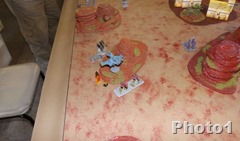 DSCF7333