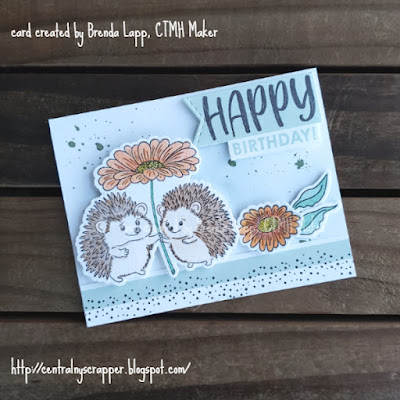 Little Hedgehogs Birthday Card
