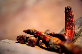 Clavos_Oxido_Deauvillle_Playa_Web