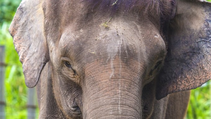 PostgreSQL: From Zero to Hero [Free Course]