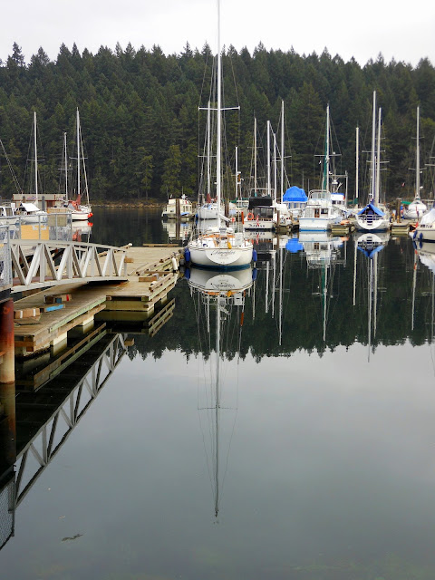 Reflection of a Nanaimo marina (2012-02-15)