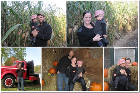 Pumpkin Patch Two