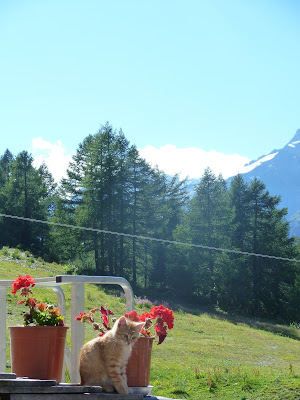 Arpe Vieille Tour del Mont Blanc