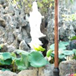 View album