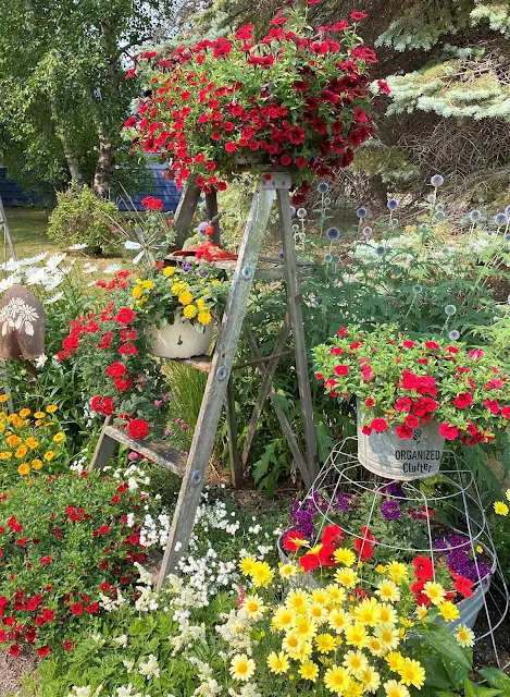 Photo of a junk garden border with stepladder