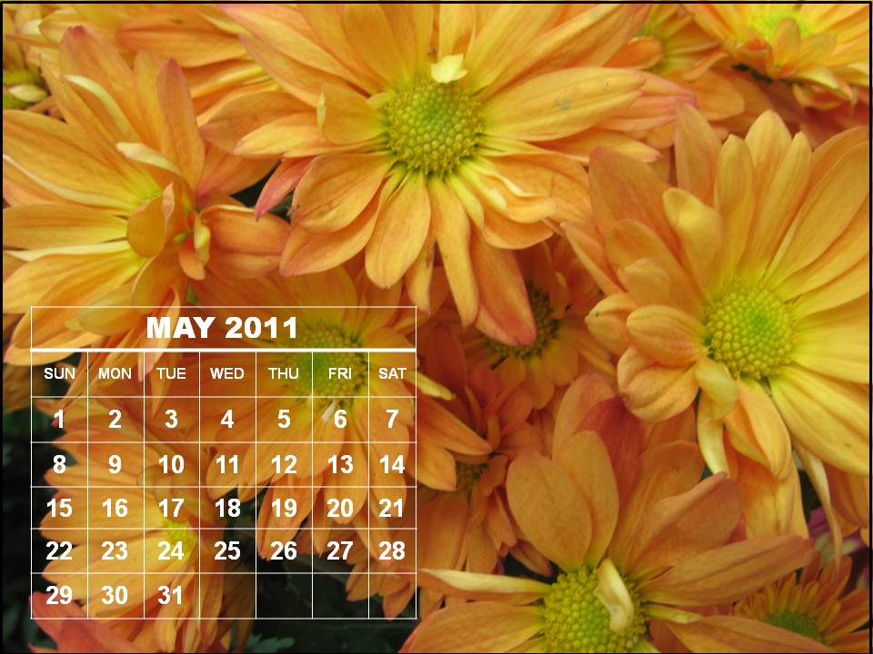 may 2011 calendar images. calendar 2011 may june