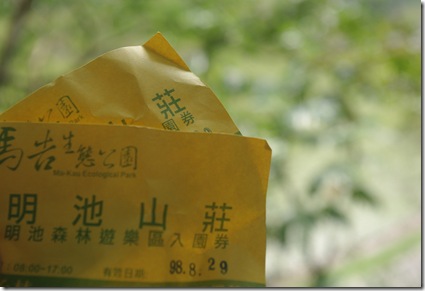 IMGP3384