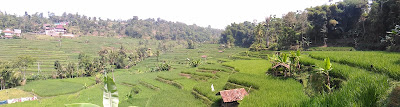 Efek menyegarkan dari pemandangan sawah berundak untuk sisi psykologis setelah penat bekerja