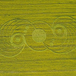 gambar crop circle, foto crop circle, alien, ufo, lingkaran tanaman, www.digaleri.com