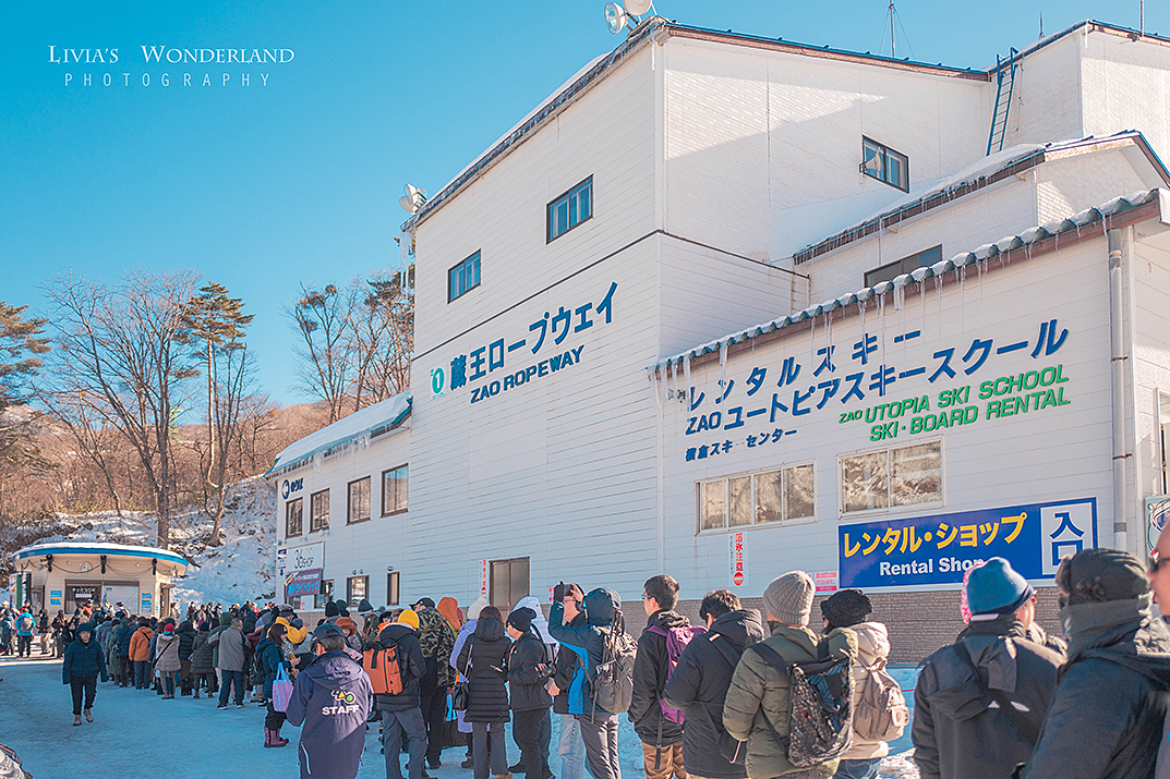 藏王樹冰纜車門票