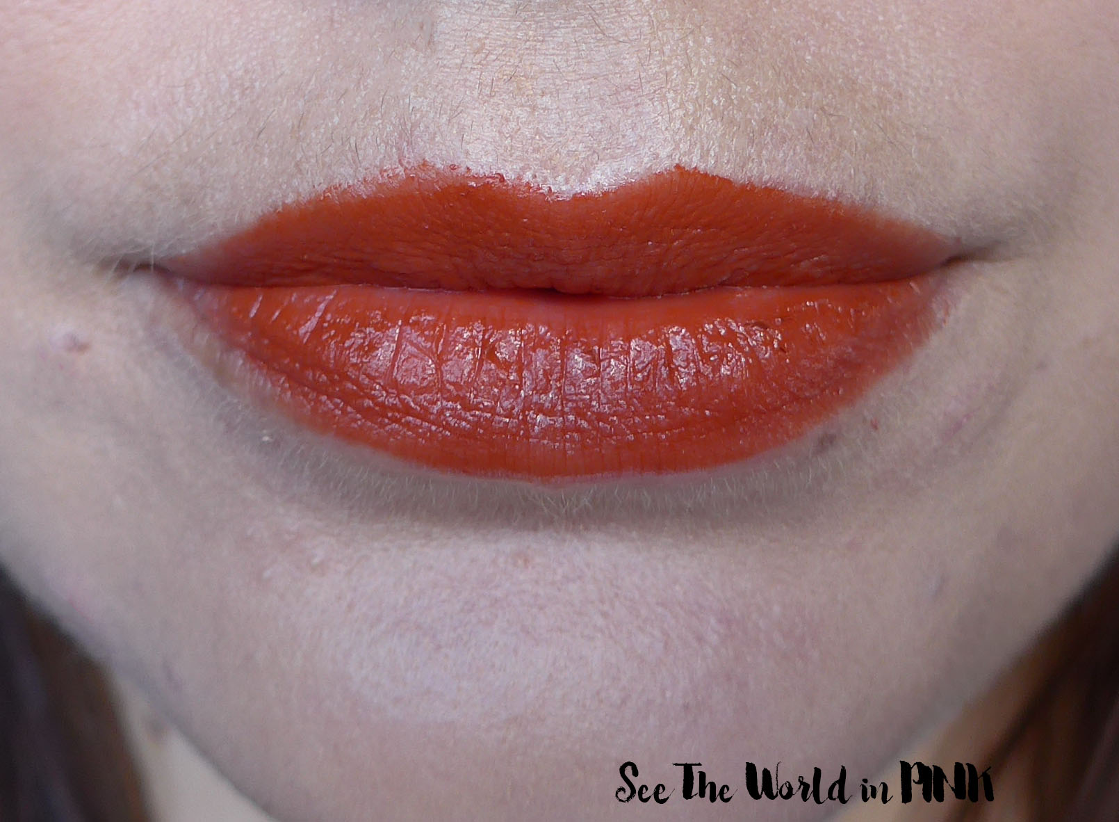 Purrfect Fall Lipstick Shade - Catiss Black Cat Moisturizing & Matte Lipstick in Roasted Pumpkin Orange