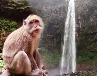 11 Wisata Tawangmangu menarik dengan Keindahan Alam 11 Wisata Tawangmangu menarik dengan Keindahan Alam