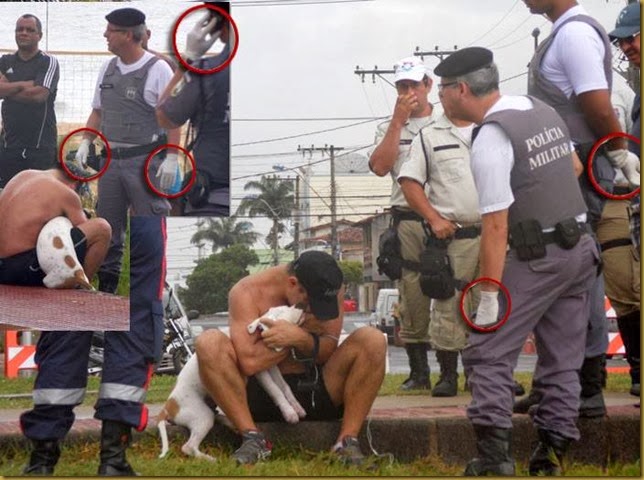 cao-morto-itaparica2