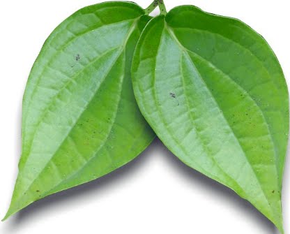 Herba & Tumbuhan: SIREH PENINGGALAN WARISAN BERZAMAN 