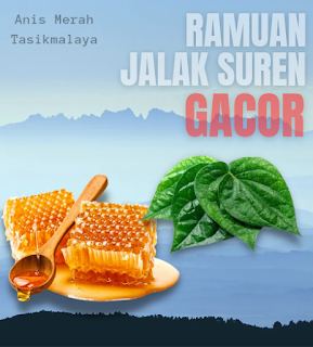 ramuan-gacor