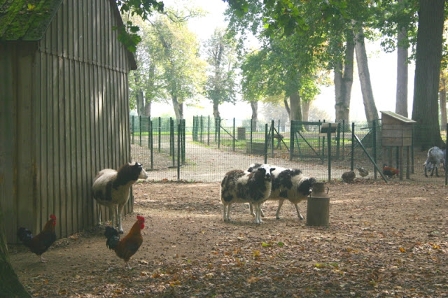 Small farm animals still live at the Chateau de Valency.