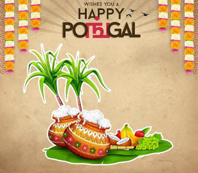 Happy Pongal Images HD 2