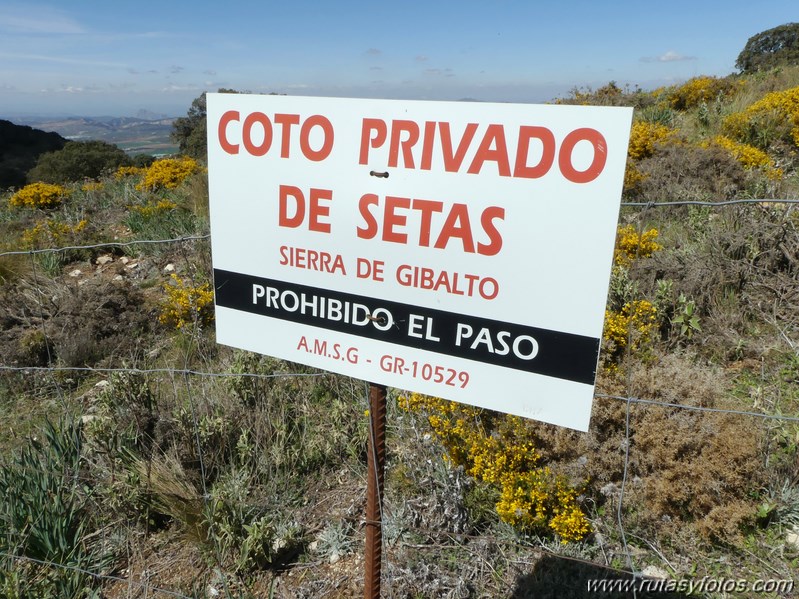 Sierra de Gibalto