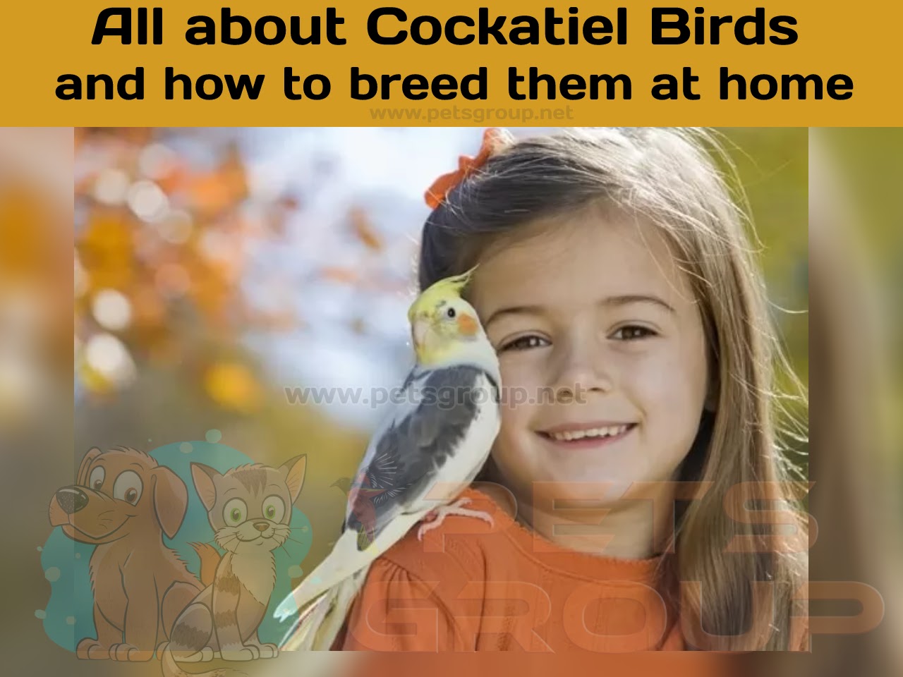 Cockatiel Birds