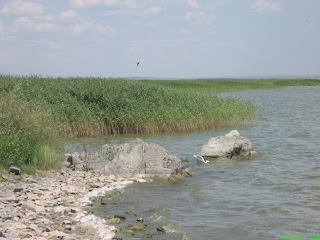 Sinoe Lake