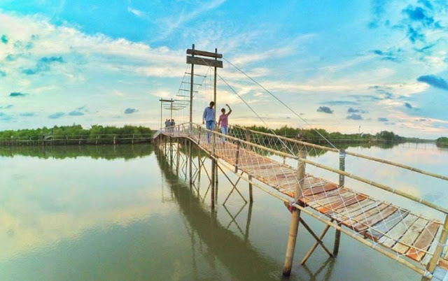 Hasil gambar untuk Lokasi dan Tiket Masuk Hutan Mangrove Pantai Congot, Kulon Progo Jogja