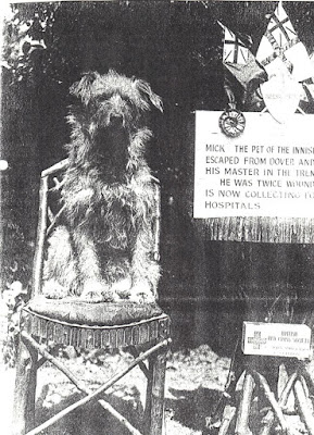 Mick the dog sat on chair with poster describing his antics