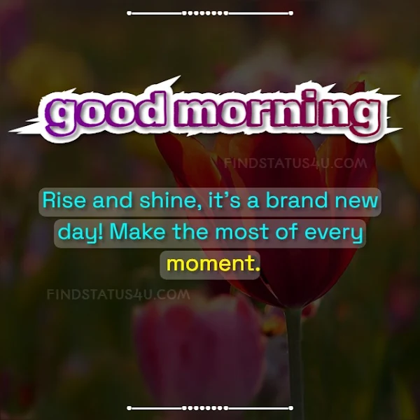 good-morning-quotes