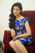 Richa Panai Latest Glam pics in Blue-thumbnail-20