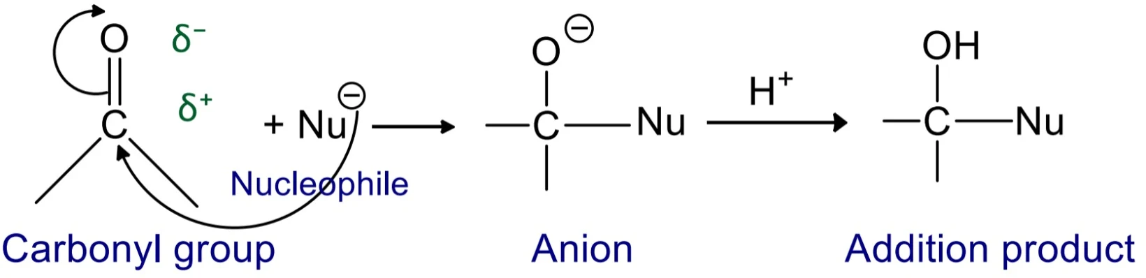 Nucleophilic addition reaction