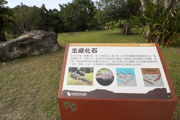 桃園大溪中庄吊橋、中庄調整池觀景台、山豬湖生態親水園區健走趣