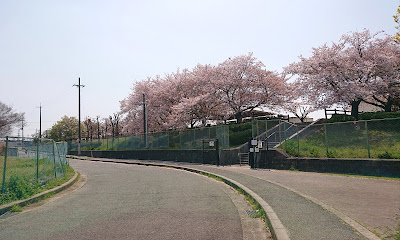 今池水みらいセンター(松原市)