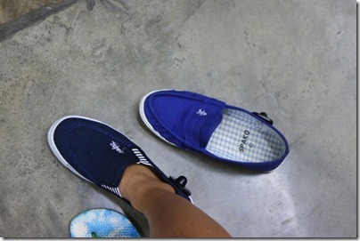 blue Kungfu shoes