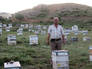 Yaylaların şekersiz balı