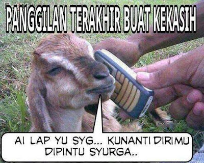 11 Meme Lucu Bikin Ngakak Curhatan Kambing Jelang Eksekusi