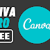 How to Get Canva Pro Lifetime Free (2023) and Make Money