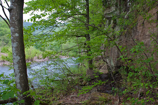 Trail next to Big Piney Creek