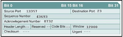 CCNA 1 Module 4 V4.0