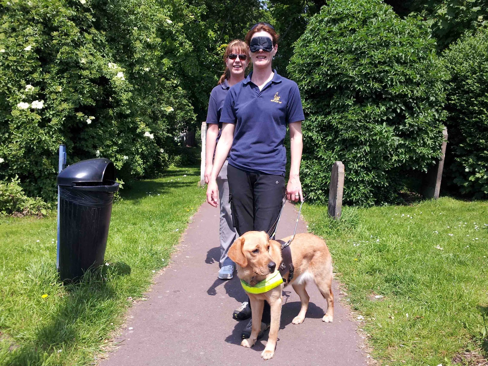 Guide Dogs for the Blind training and trainers, Maidstone.