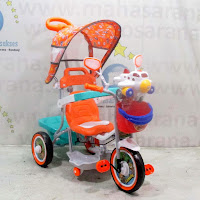 family aeroplane baby tricycle